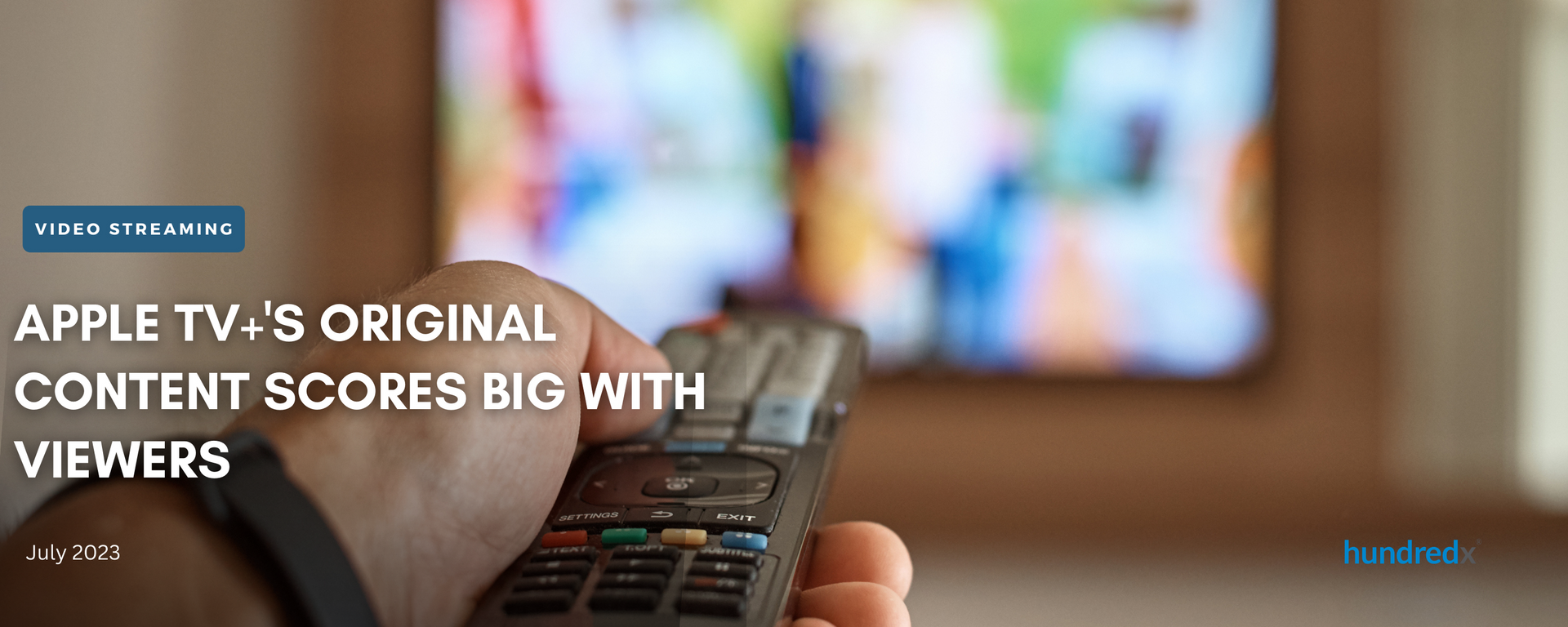 A person is holding a remote control in front of a television.