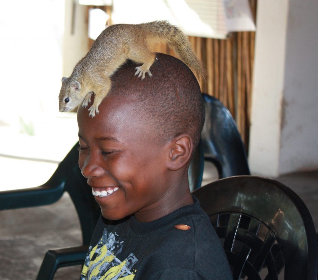 Sausage Tree Safari Camp - Daktari Tours