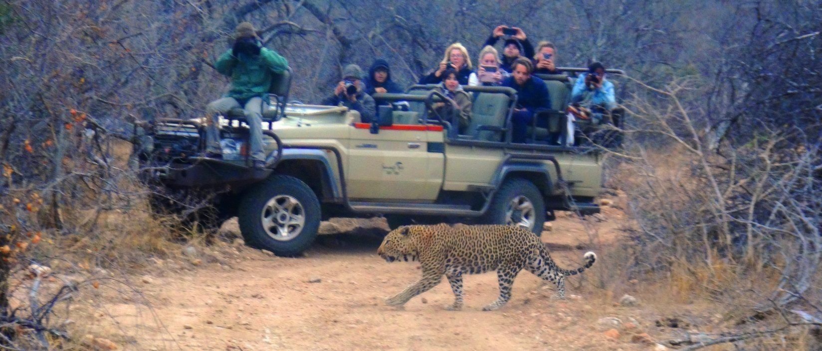 Sausage Tree Safari Camp - Game Drives Gallery 23