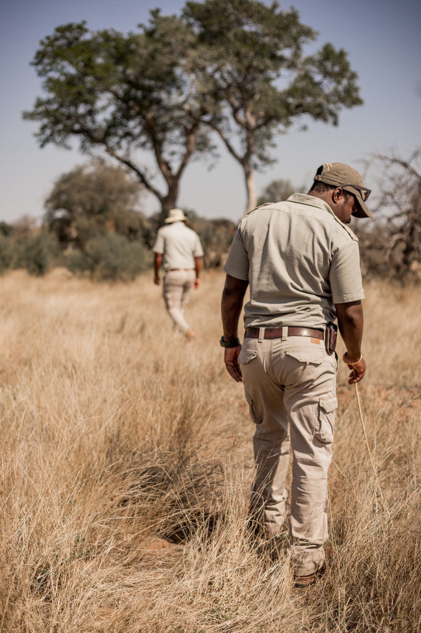 Sausage Tree Safari Camp - Home 3