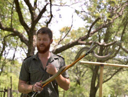 A man is holding a snake on a stick in a forest.