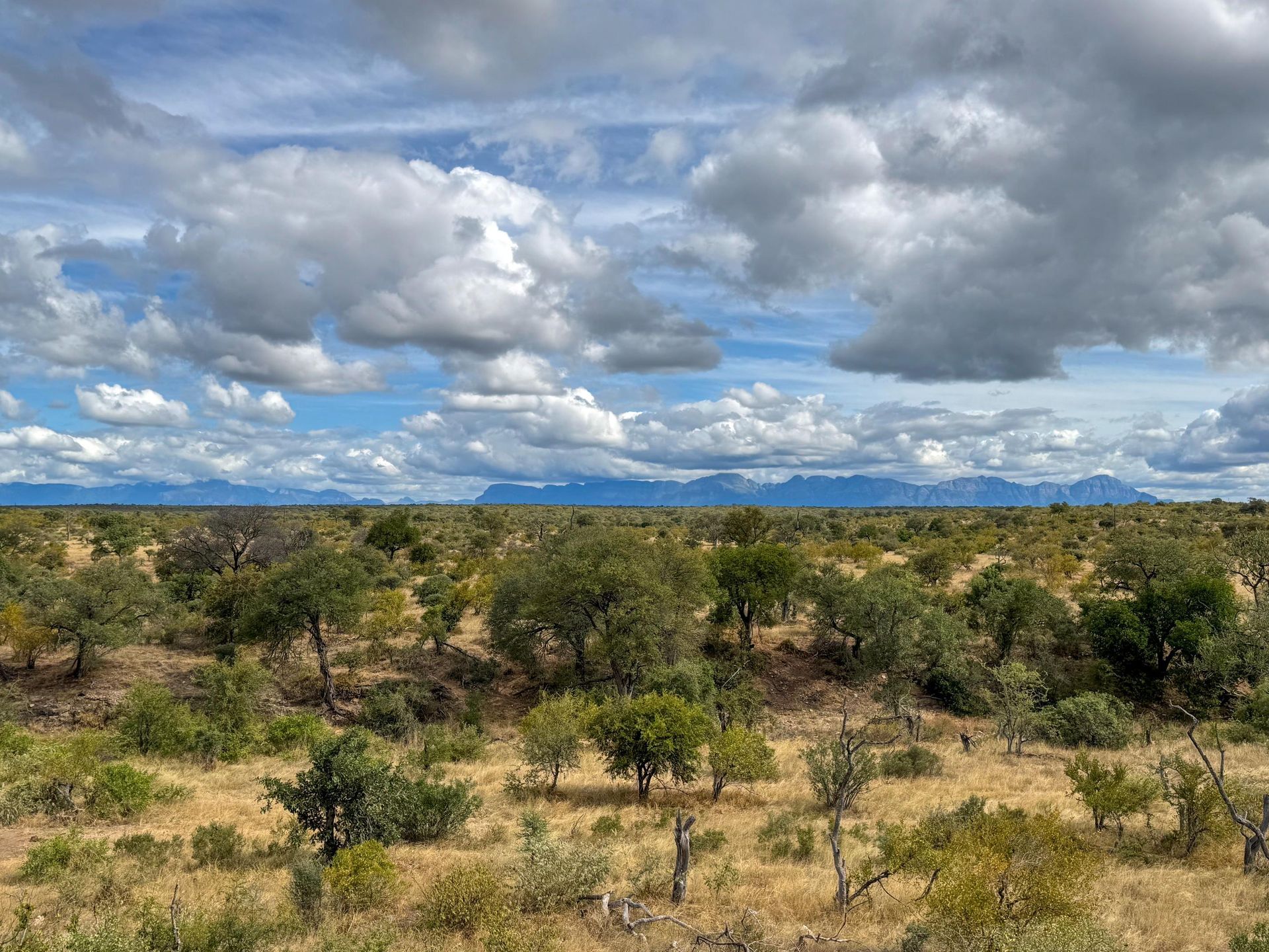 A lush green field with trees and bushes under a cloudy sky.