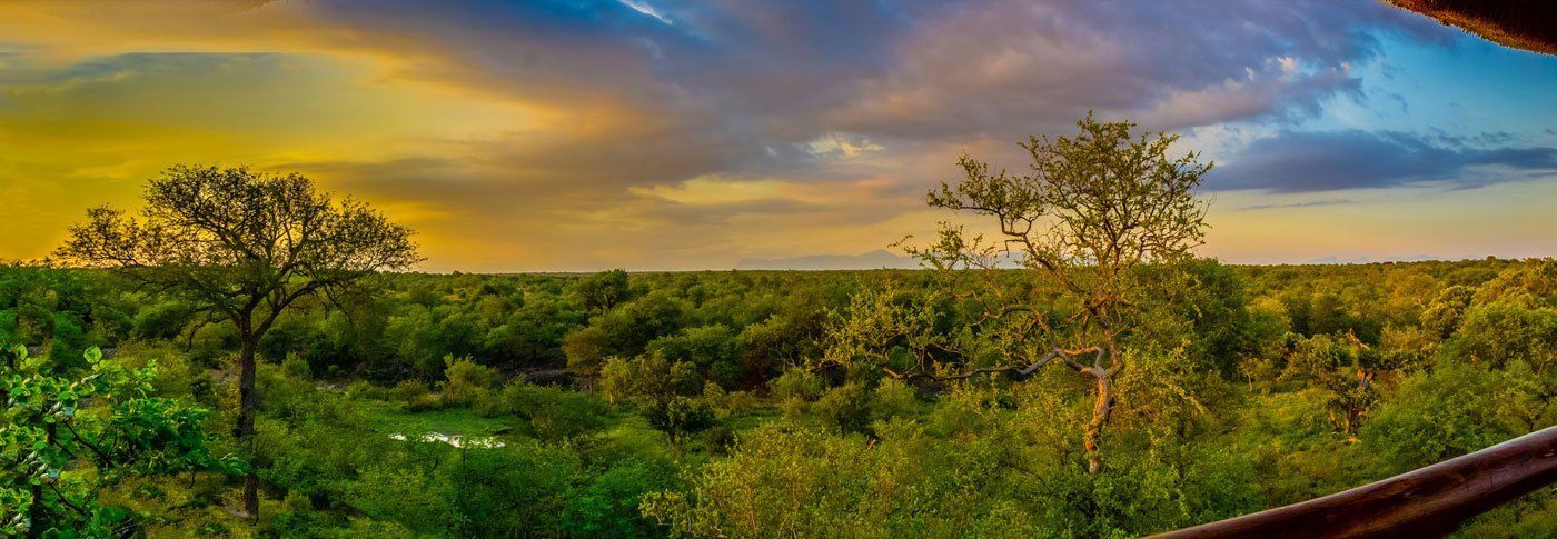 Sausage Tree Safari Camp - Home 2