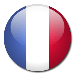 a button with the flag of france on it