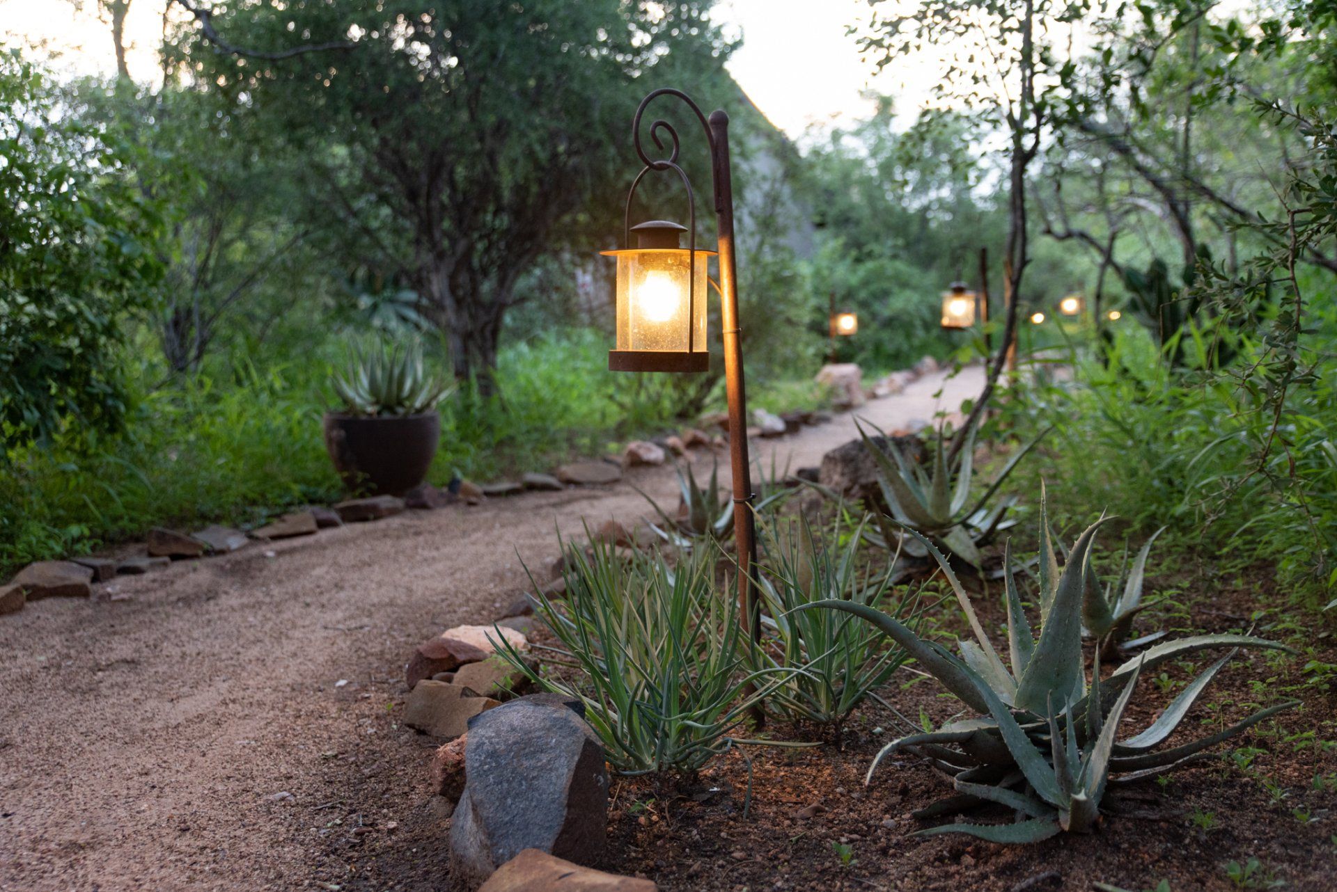 Sausage Tree Safari Camp - Lodge Gallery 55