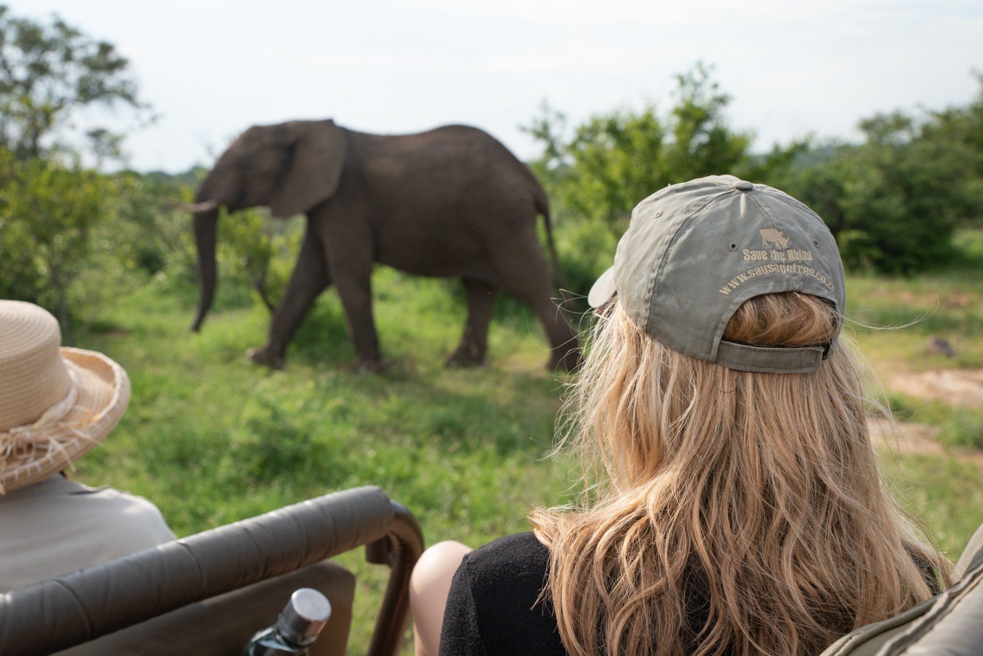 Sausage Tree Safari Camp - Game Drives Gallery 10