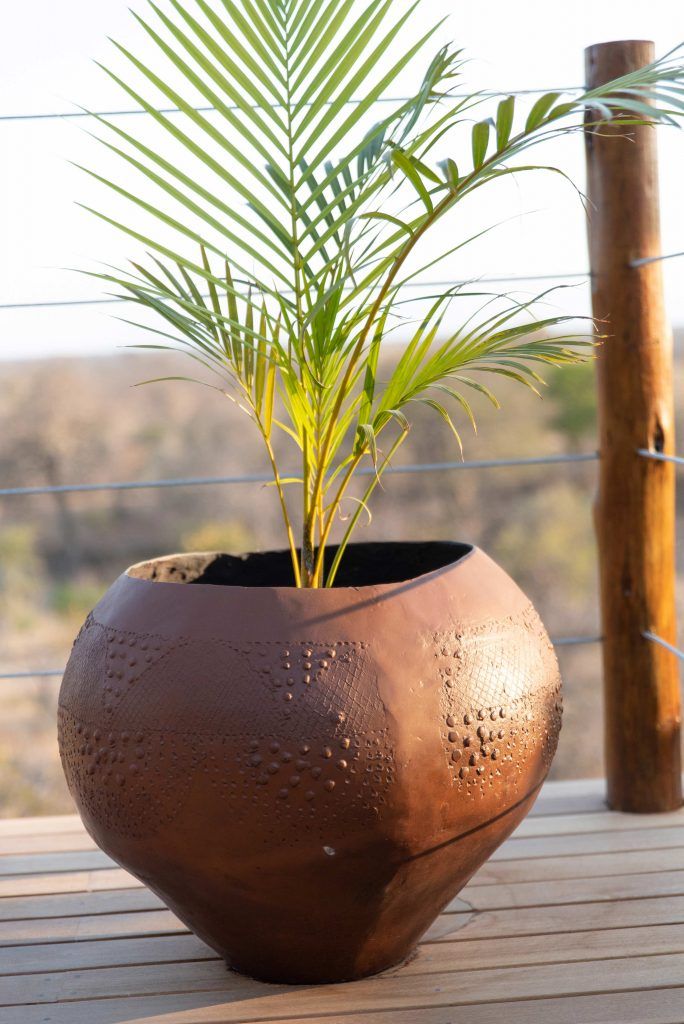 Sausage Tree Safari Camp - Lodge Gallery 38