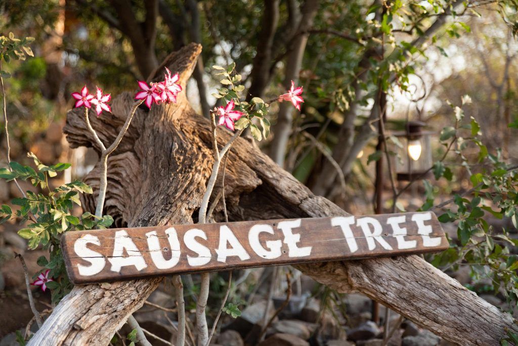 Sausage Tree Safari Camp - Lodge Gallery 1