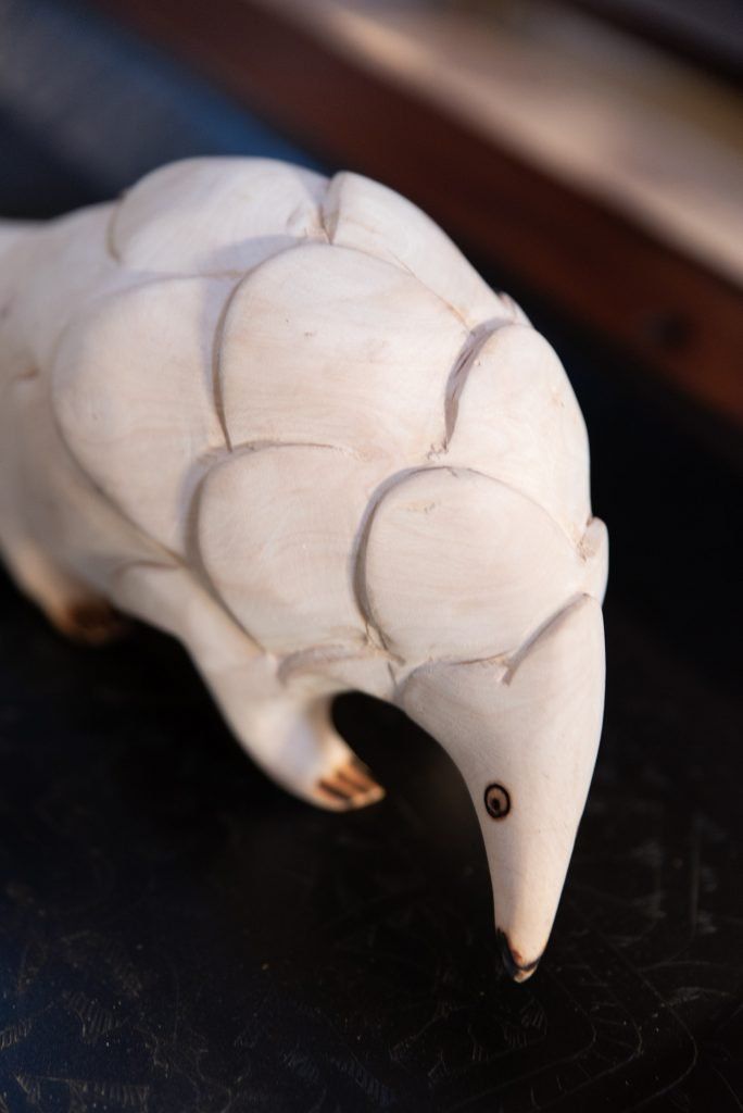 Sausage Tree Safari Camp - Lodge Gallery 33