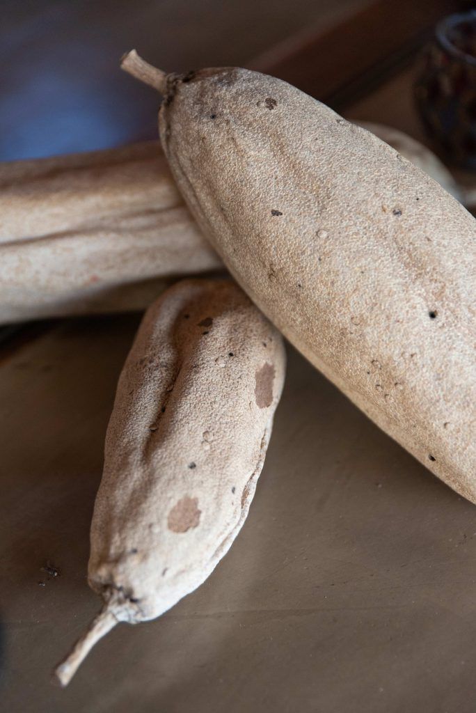 Sausage Tree Safari Camp - Lodge Gallery 34