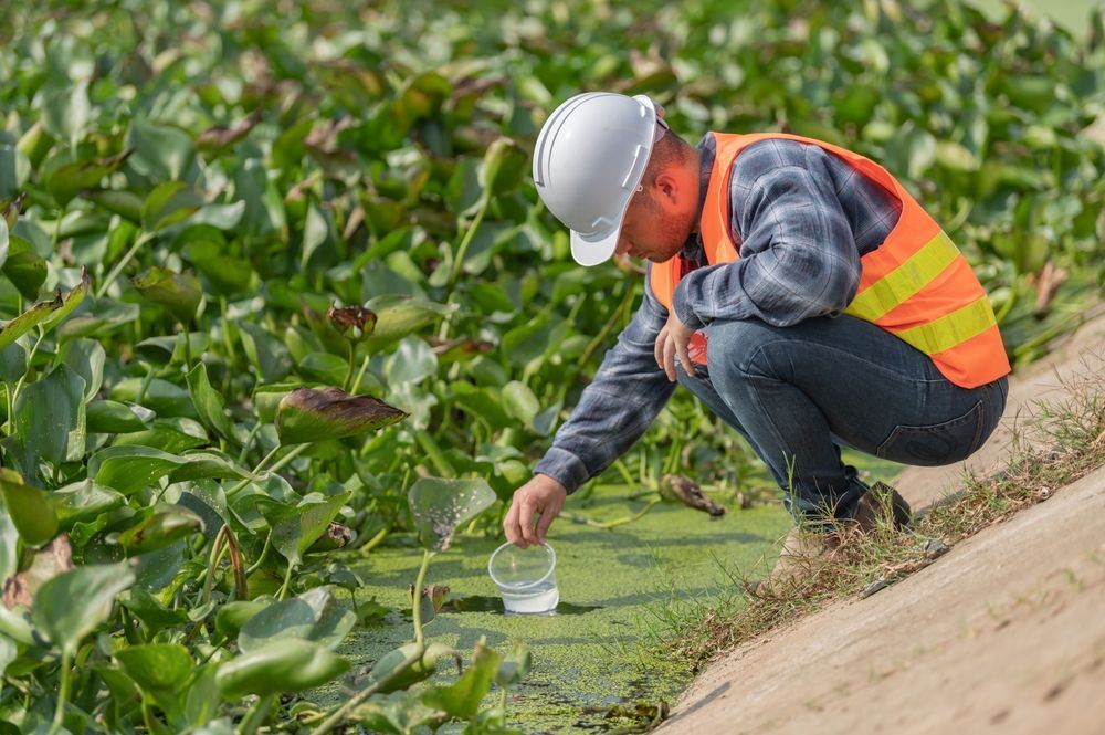 A man in an orange vest and hard hat is kneeling down to take a sample of water from a pond.