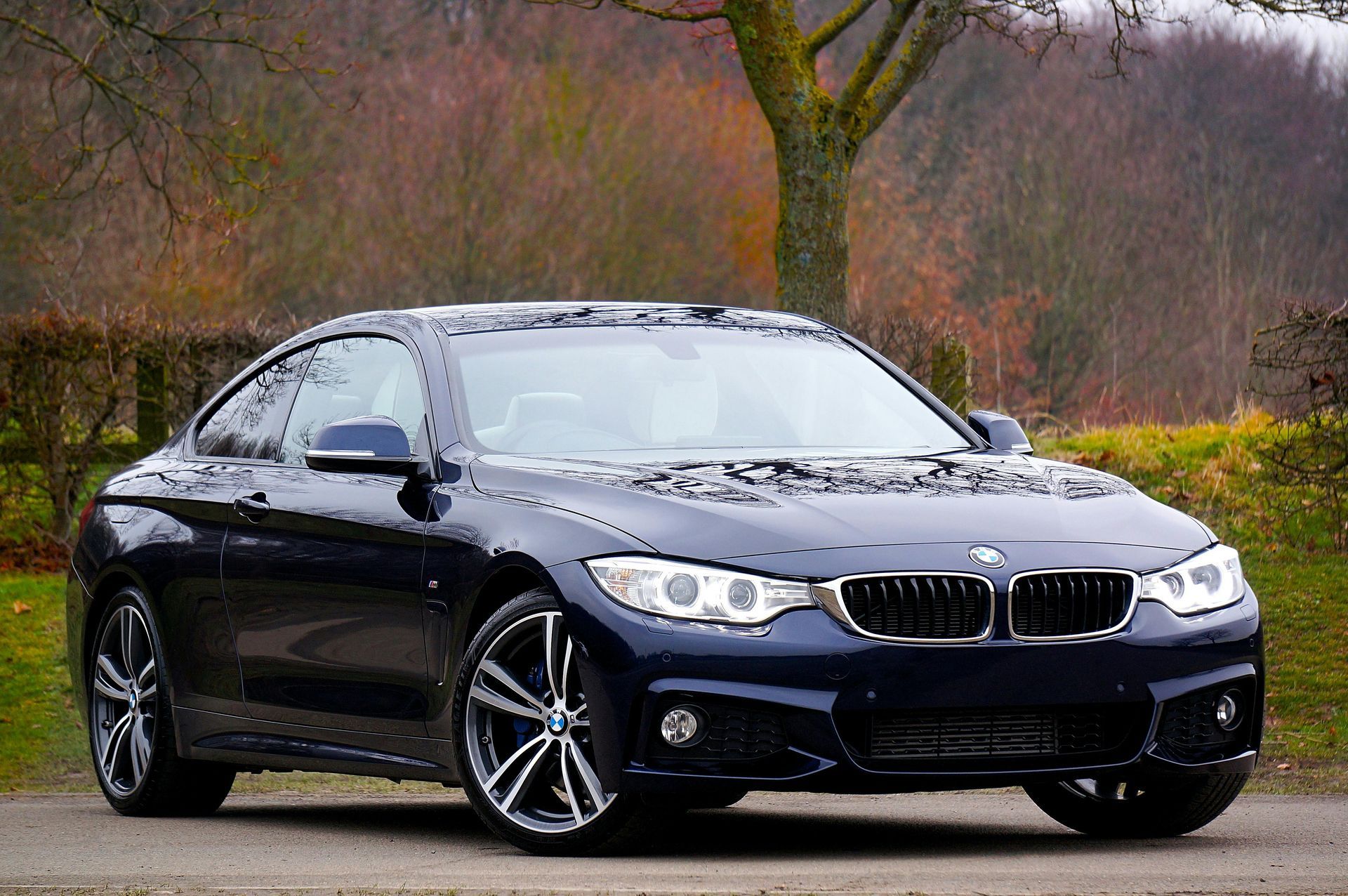Dark blue BMW coupe parked on a gravel path in a natural setting.