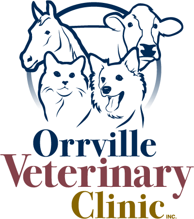 orrville veterinary clinic logo