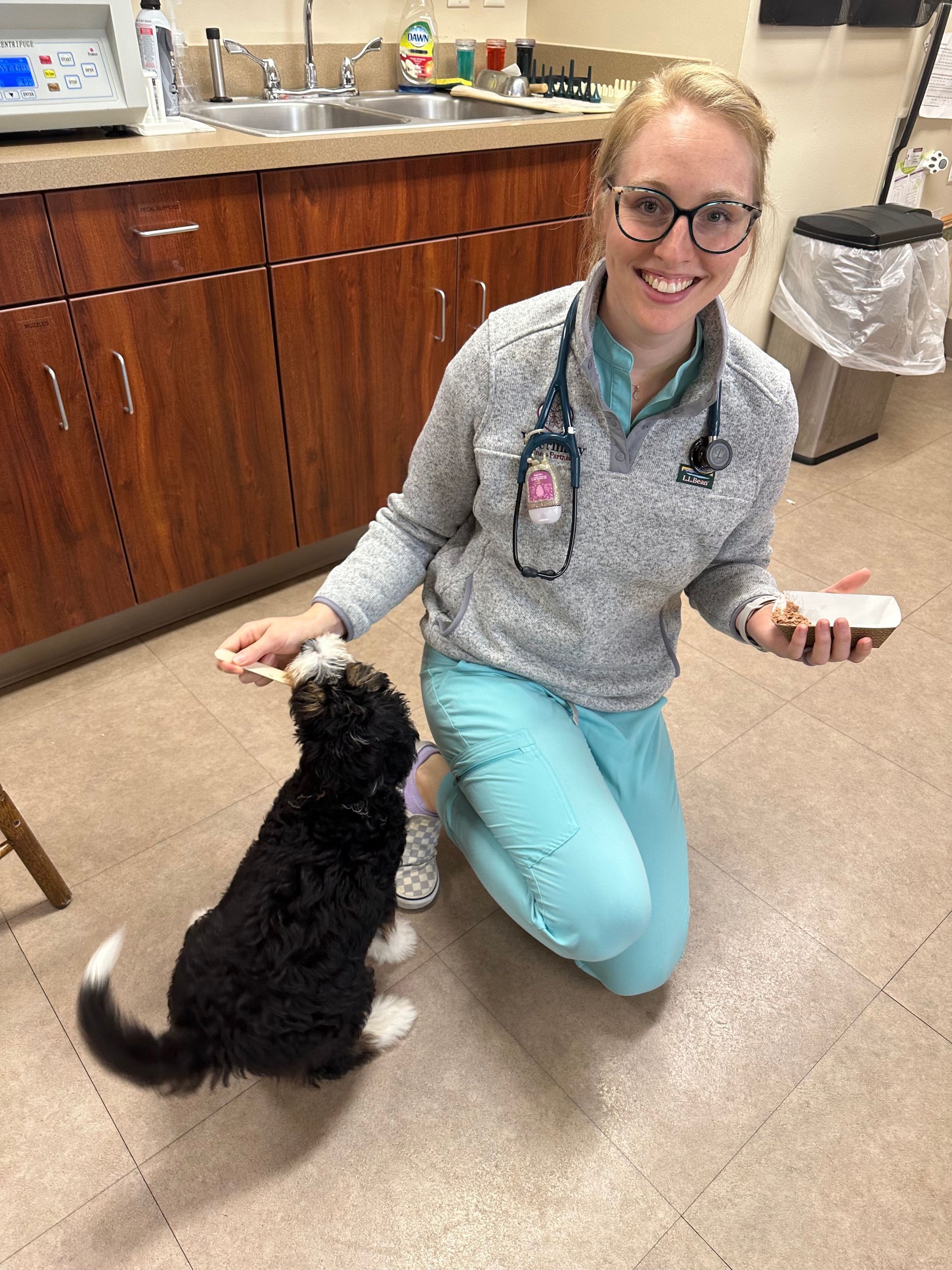 staff giving dog something to eat