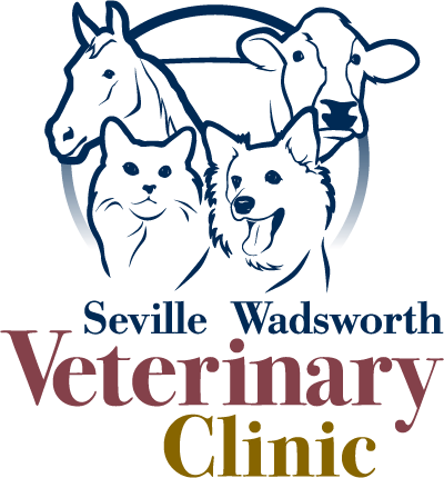 seville wadsworth veterinary