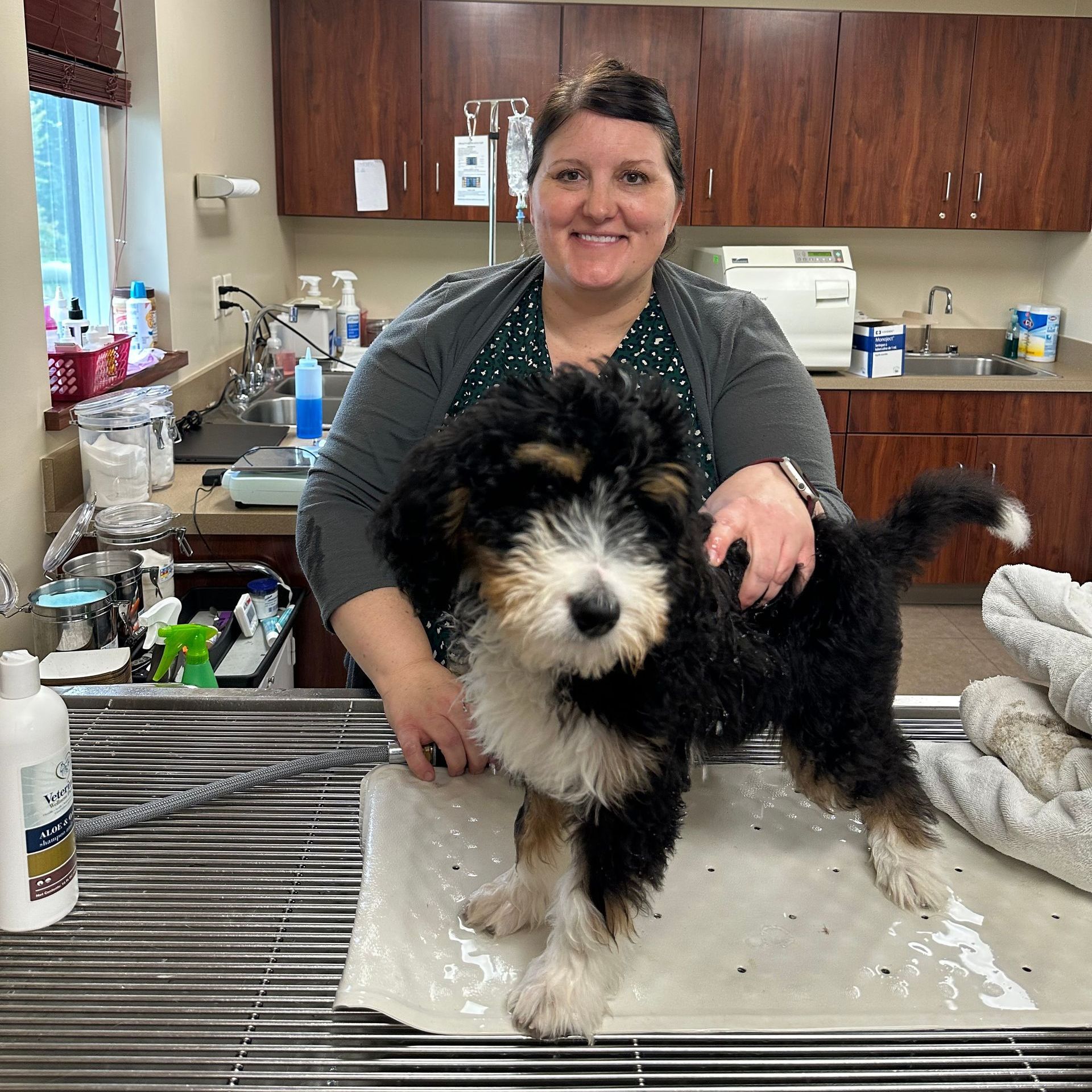 dog held on grooming table