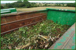If you need your garden cleared of rubbish in Harrow call The Friendly One Ltd Garden removal