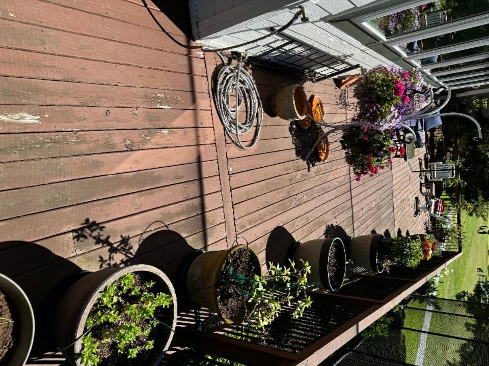 A wooden deck with potted plants and flowers on it