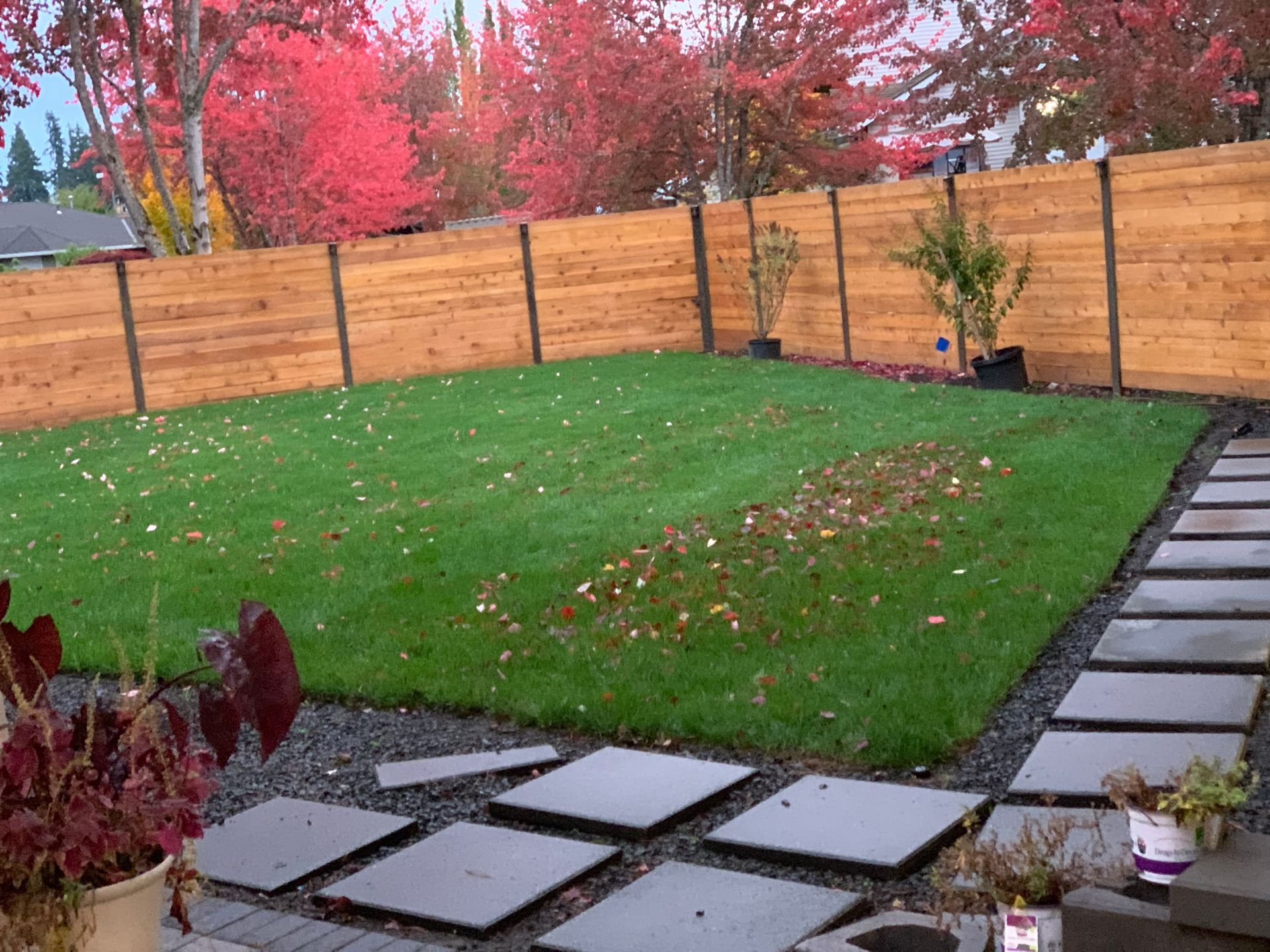 A backyard with a wooden fence and a lush green lawn.