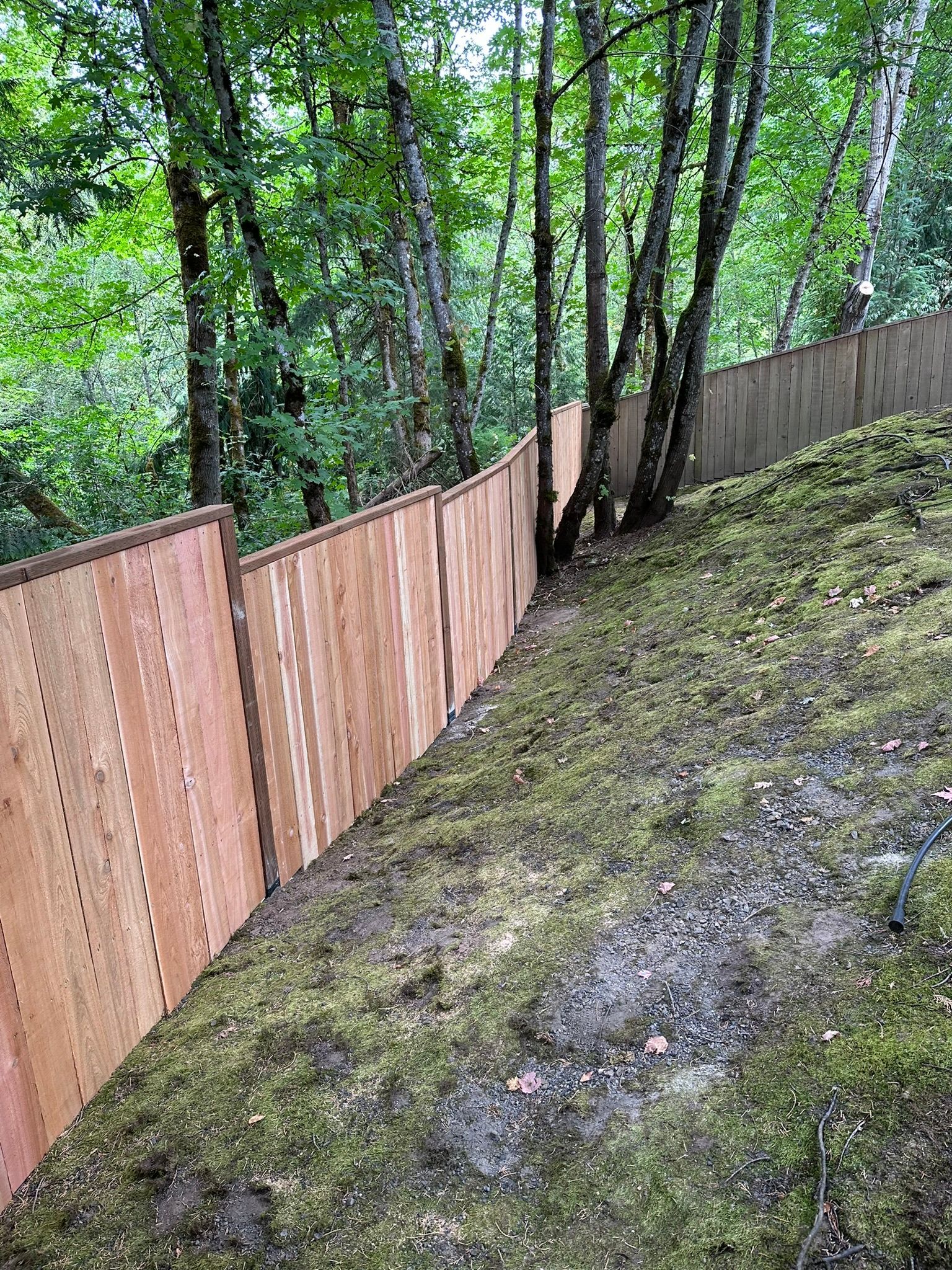 A wooden fence surrounds a grassy hillside in the woods.