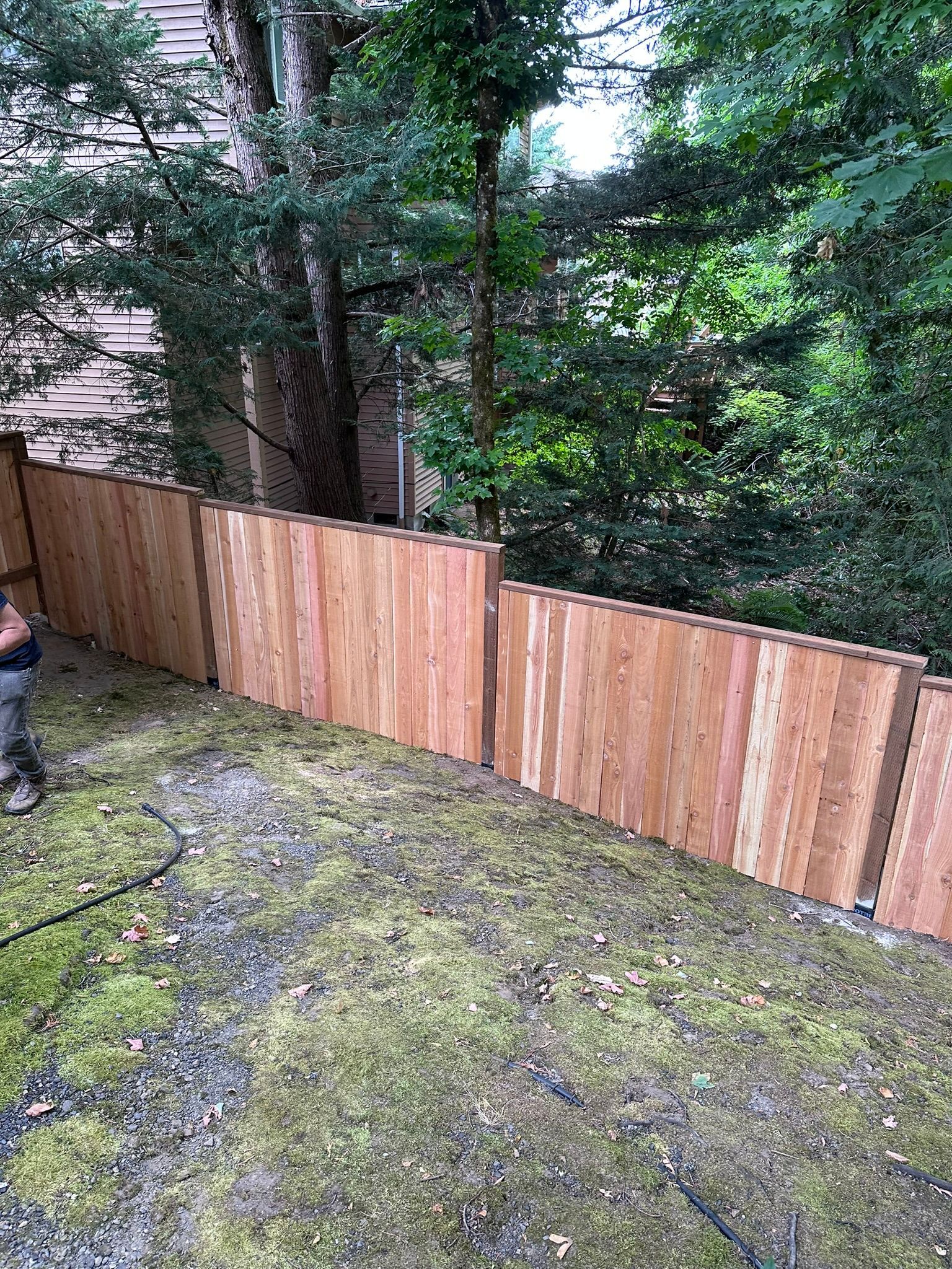 A man is standing next to a wooden fence in a backyard.