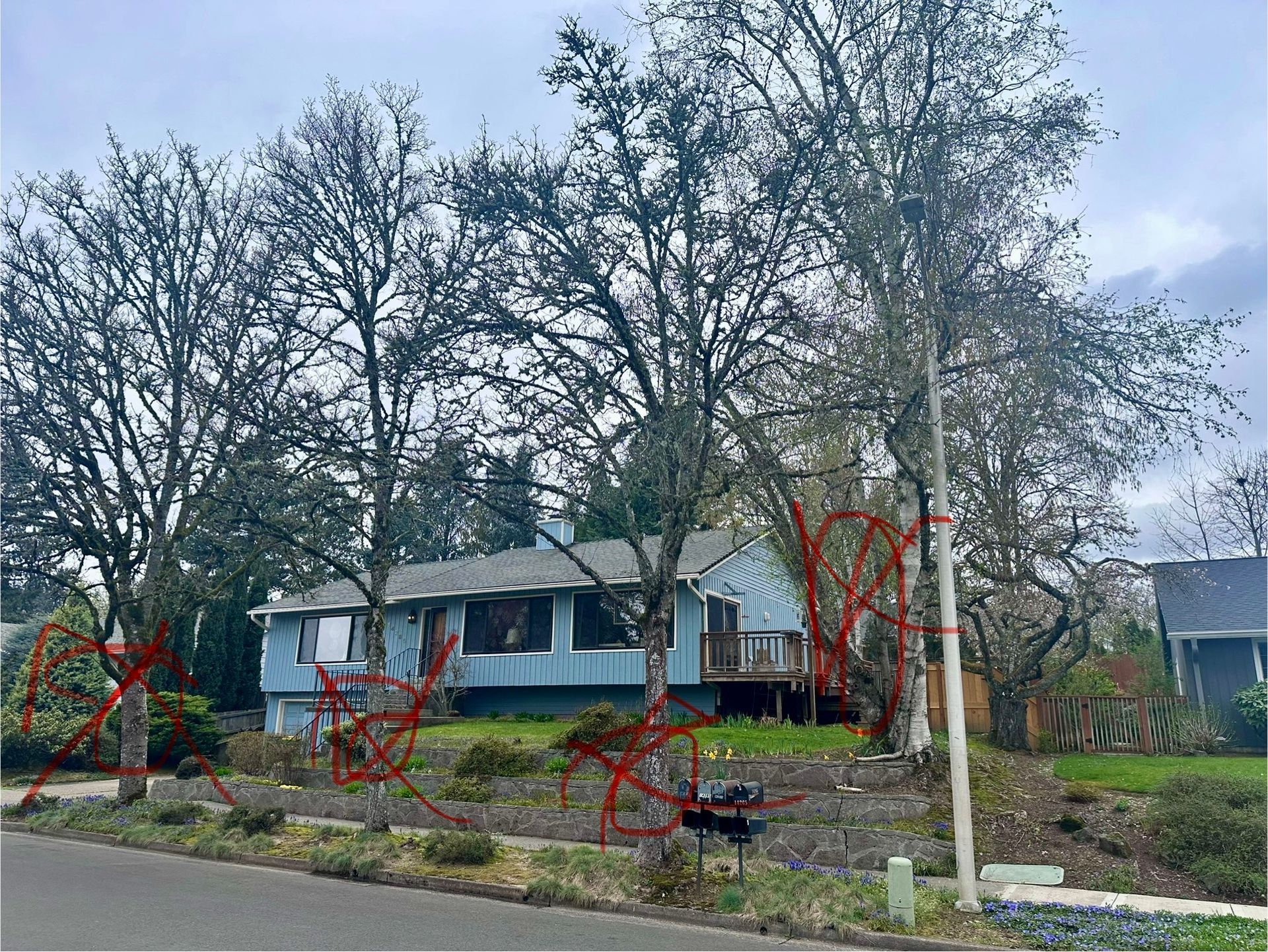 A house with a lot of trees in front of it.