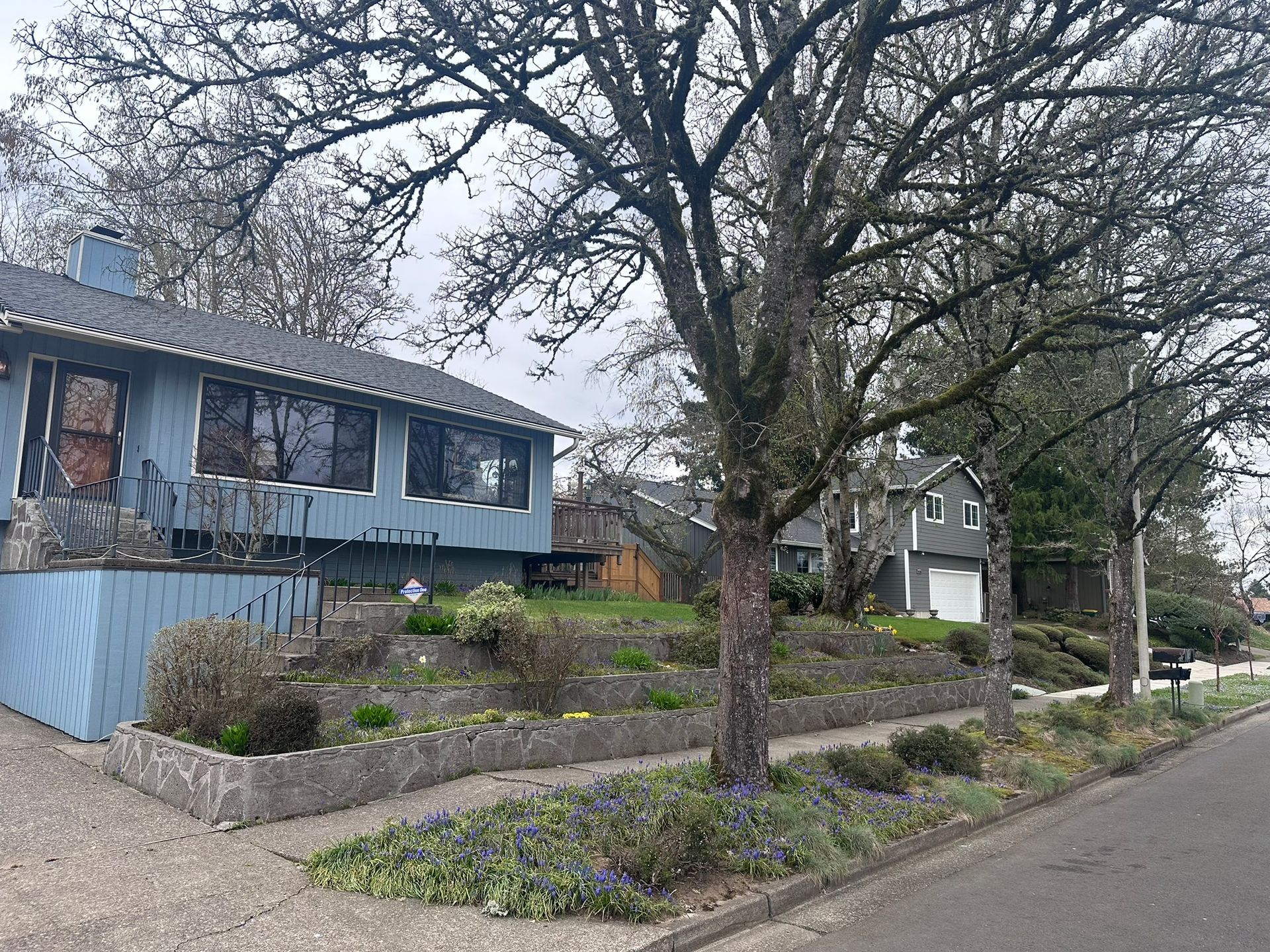 A blue house with a tree in front of it in a residential area.