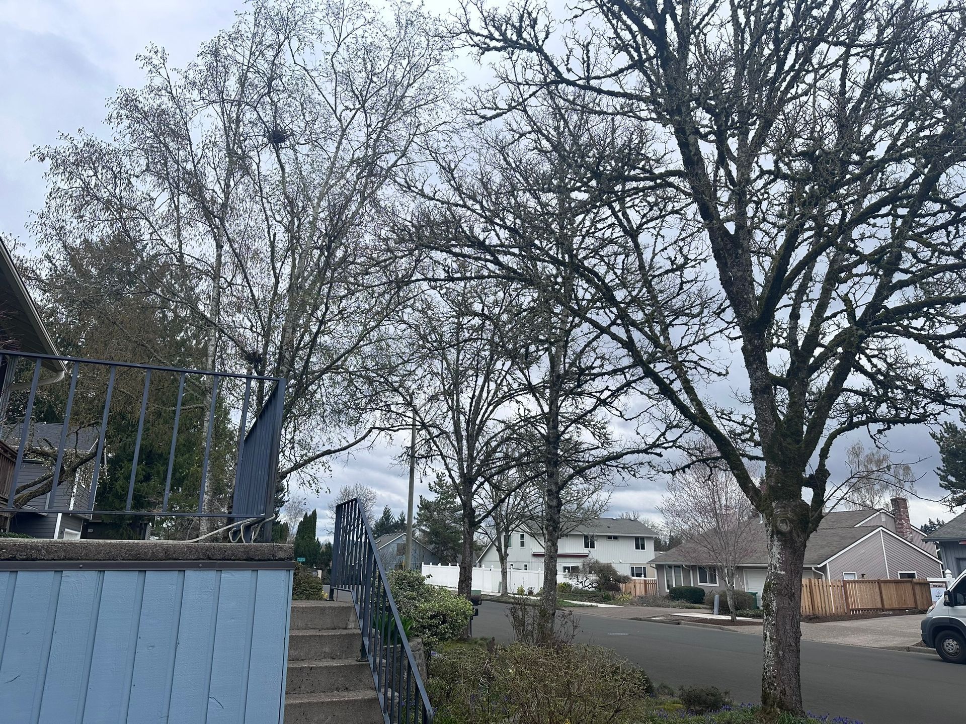 A staircase leading up to a house with trees in the background.