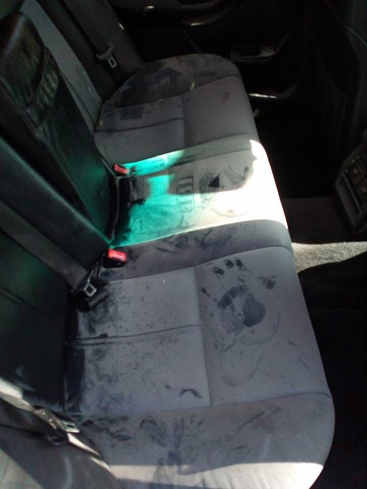 LAVA CLEAN VALLARTA Y BAHÍA