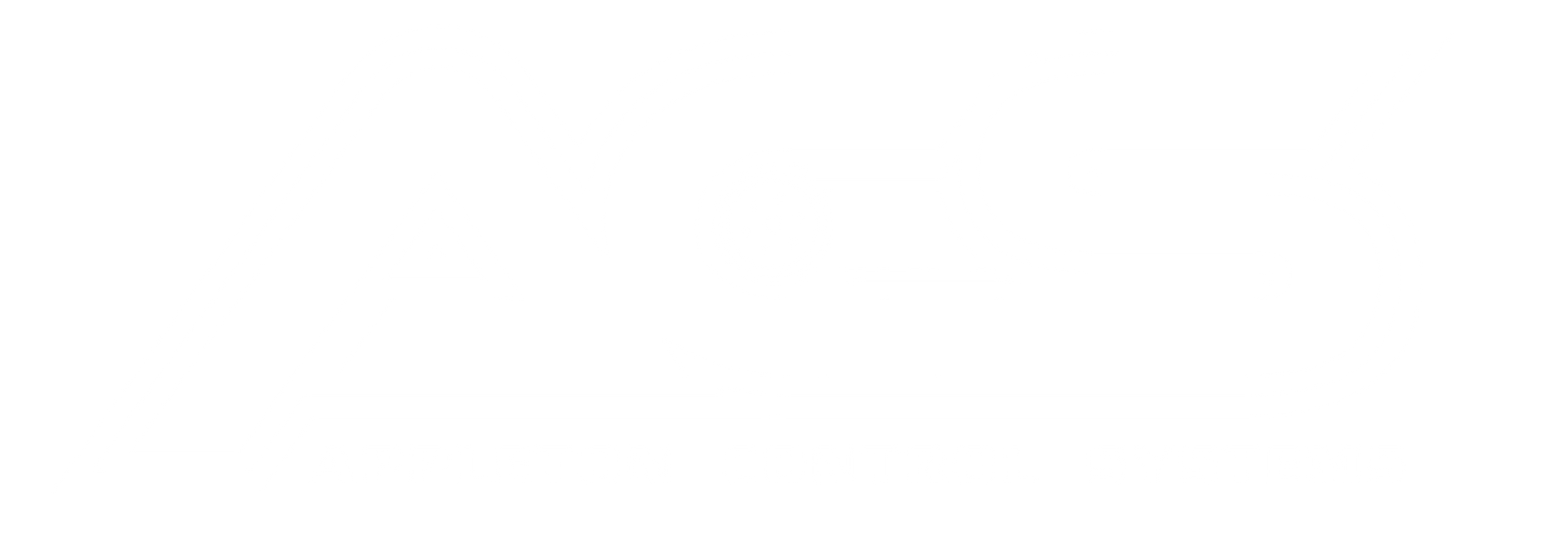 Appleton Control Systems