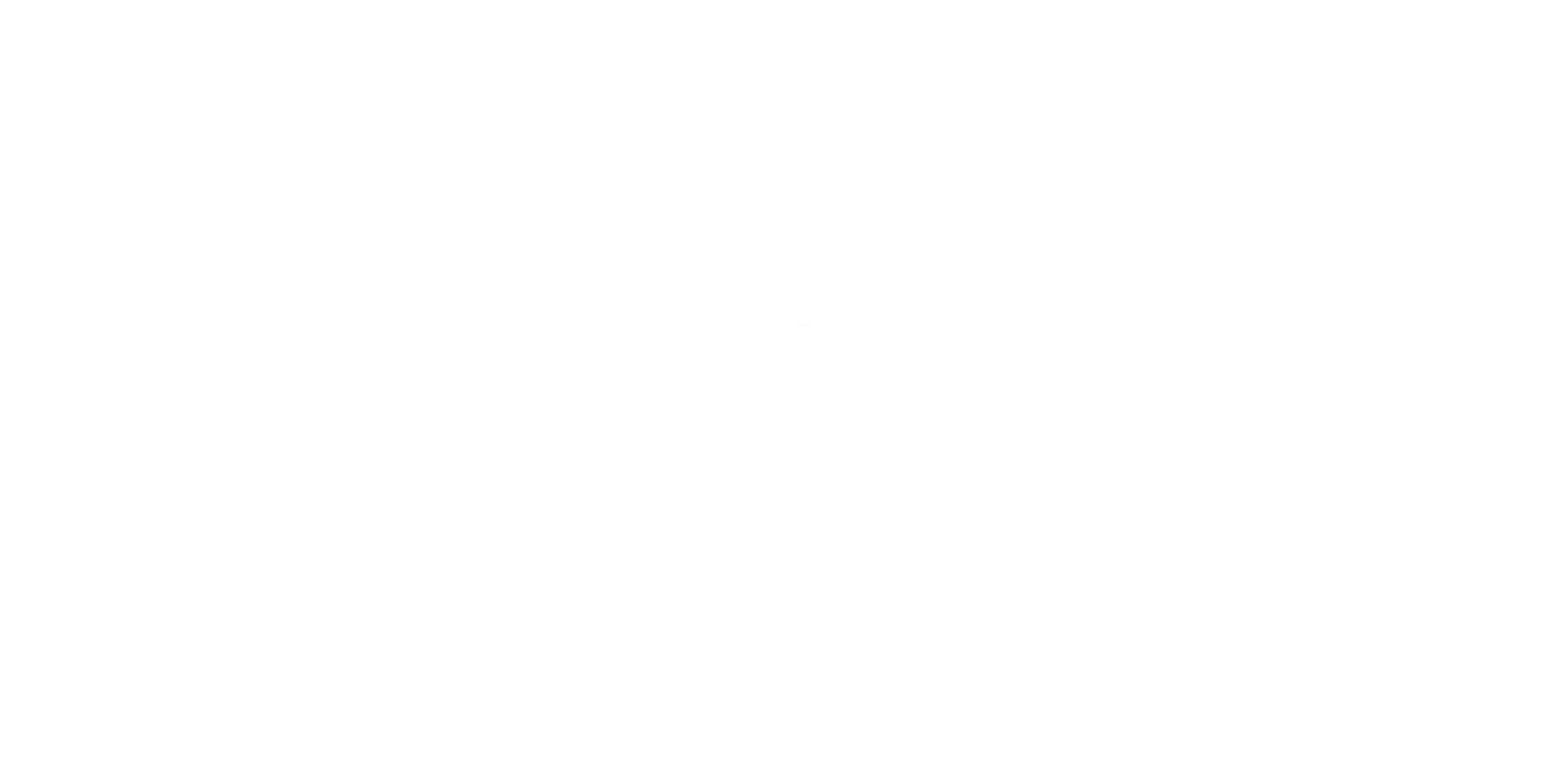 Institute for Child Custody Advocay