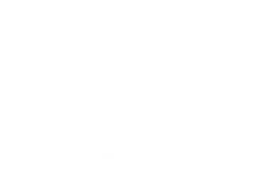 Last Word Strategies logo