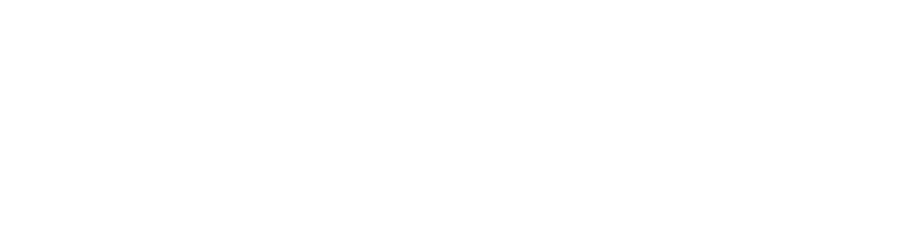 City of New Orleans Office of Gun Violence Prevention