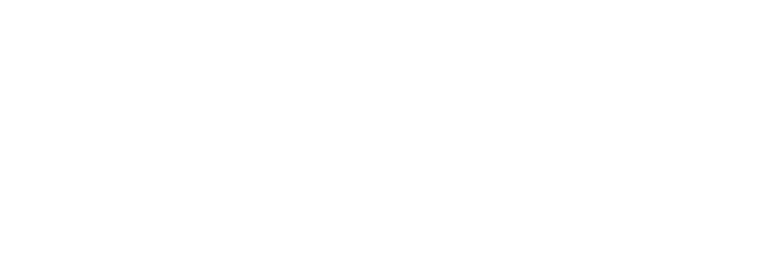 Sternberg Naccari & White LLC