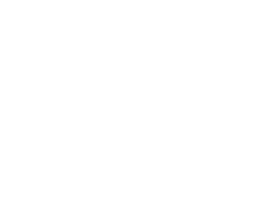 Action New Orleans