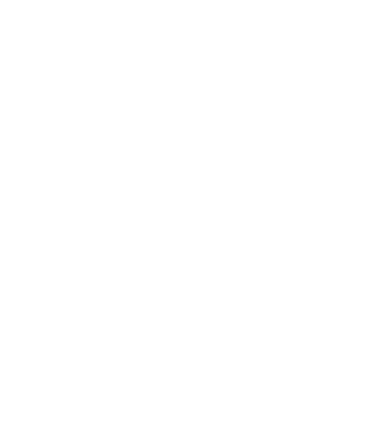The City of New Orleans 