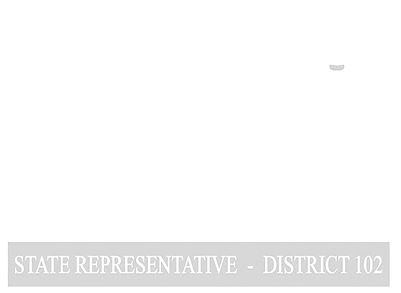 Delisha Boyd | State Representative District 102