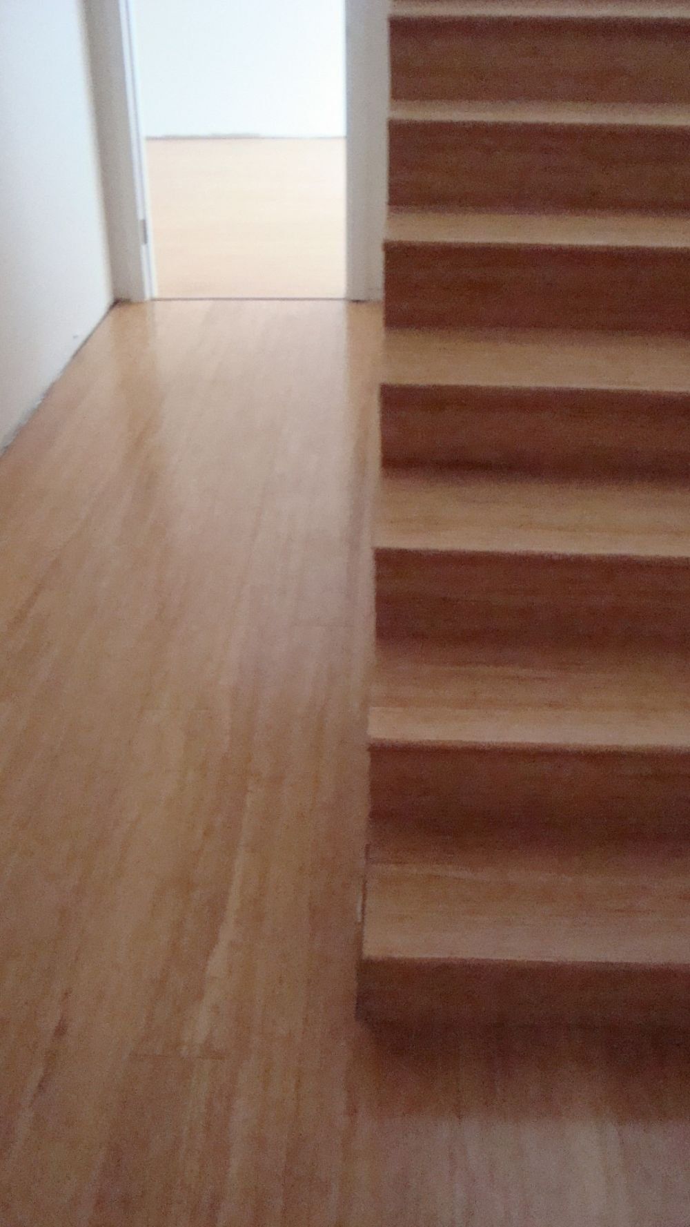 bamboo stairs overlay3