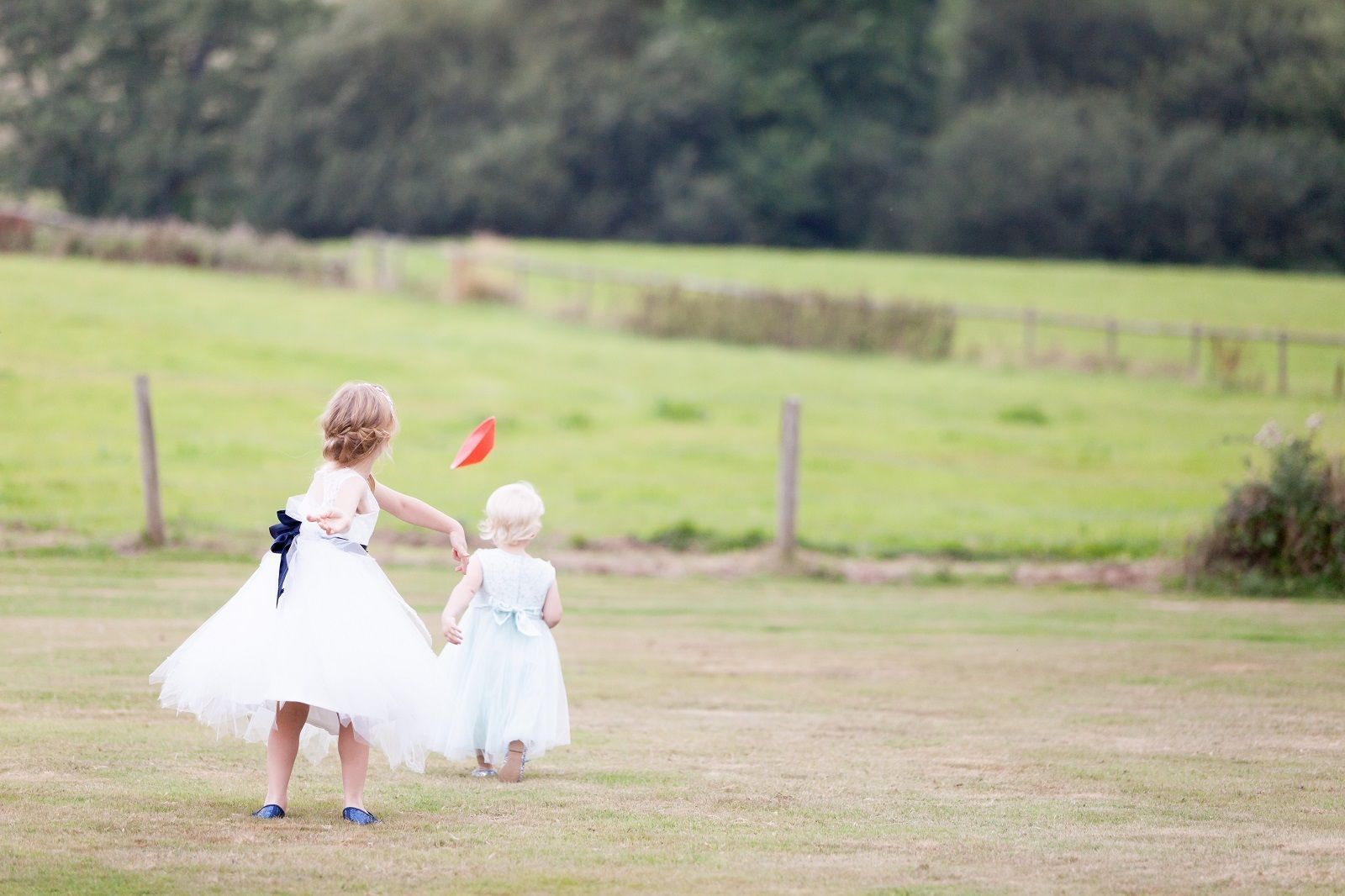 two little girls are standing in a field holding hands .