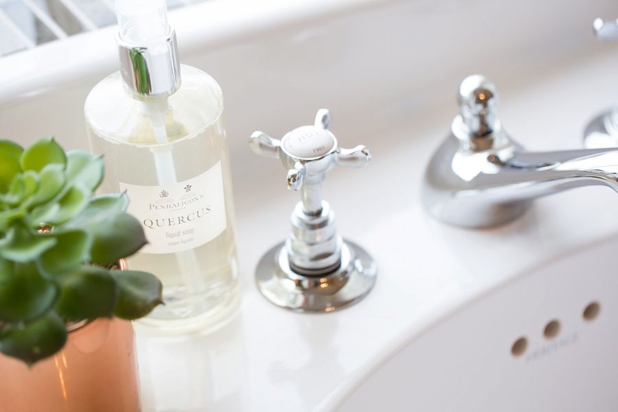 a bathroom sink with a bottle of soap and a potted plant .