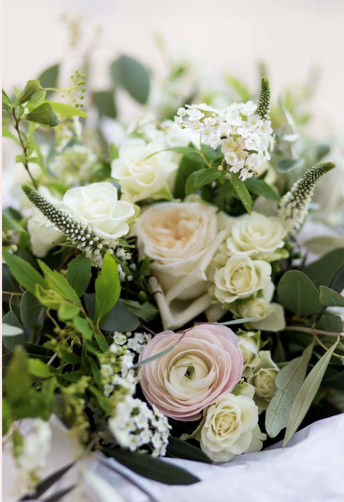 a close up of a bouquet of white and pink flowers on a table .
