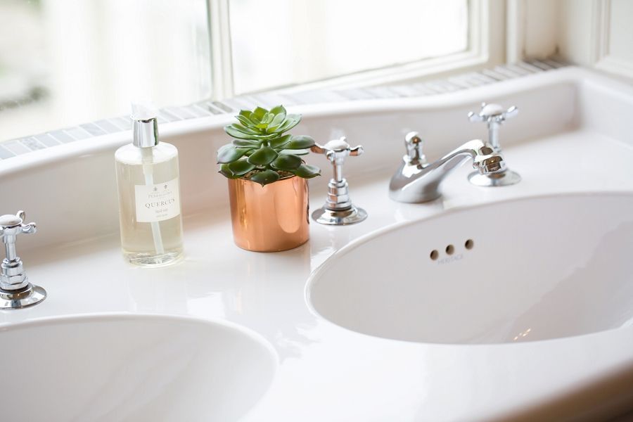 a bathroom sink with two sinks , a bottle of soap and a potted plant .