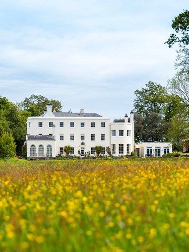 a large white house is sitting in the middle of a field of yellow flowers .