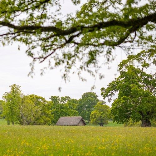 a small hut in the middle of a field with trees in the background .