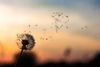 Stressmestring, vagusnervestimulering, avspenning, pusteøvelser, mindfulness, medistasjon.