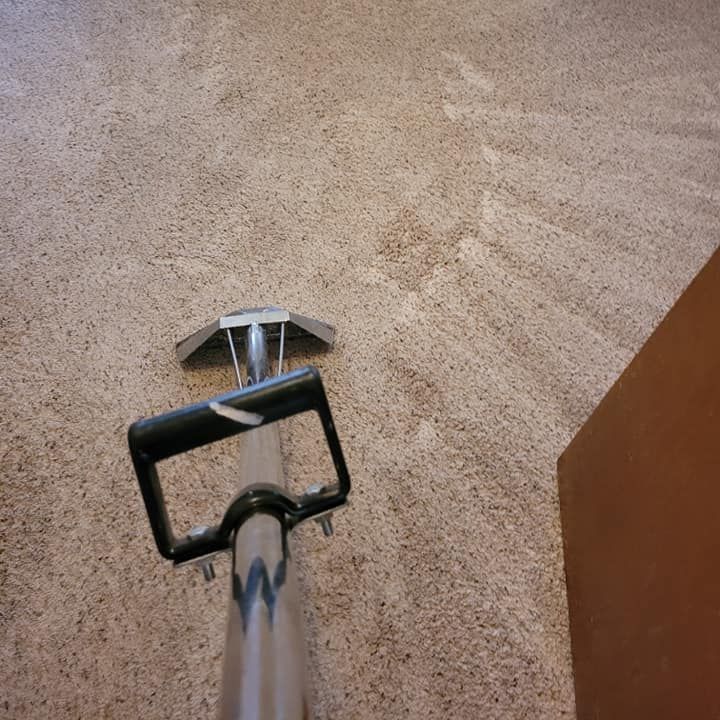 A vacuum cleaner is sitting on a carpeted floor in a room.