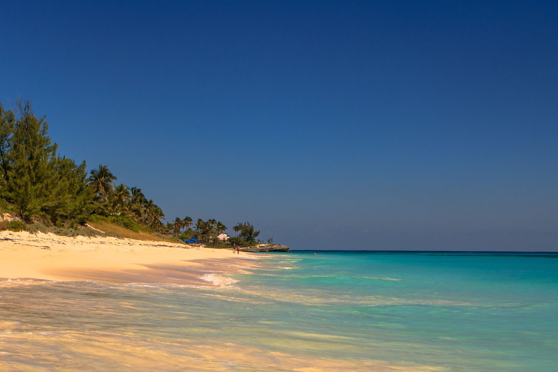 Pink sand beach meets turquoise ocean under a bright blue sky; palm trees line the shore.