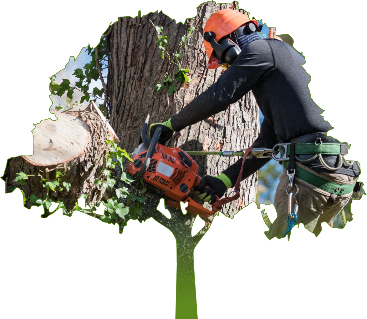 a man is cutting a tree with a chainsaw