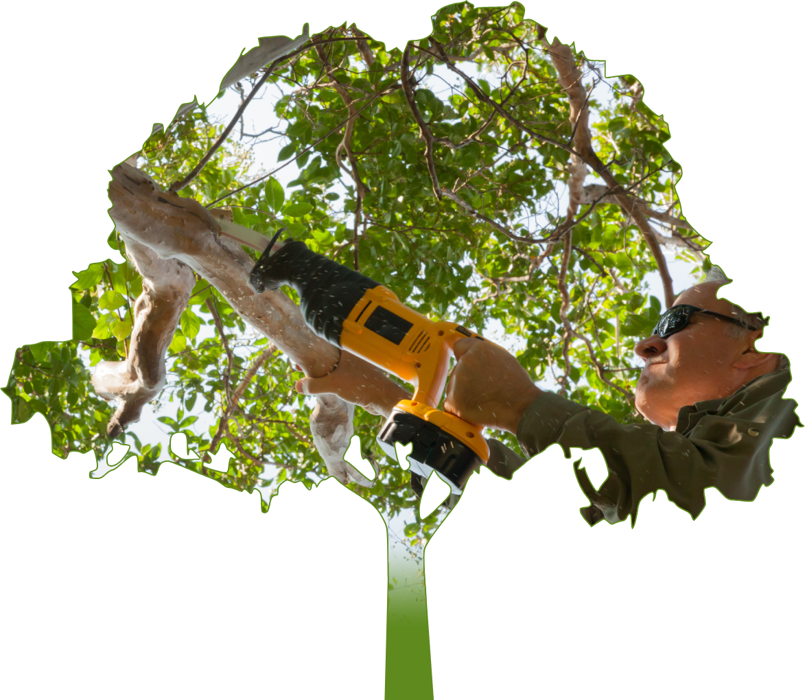 a man is cutting a tree branch with a saw