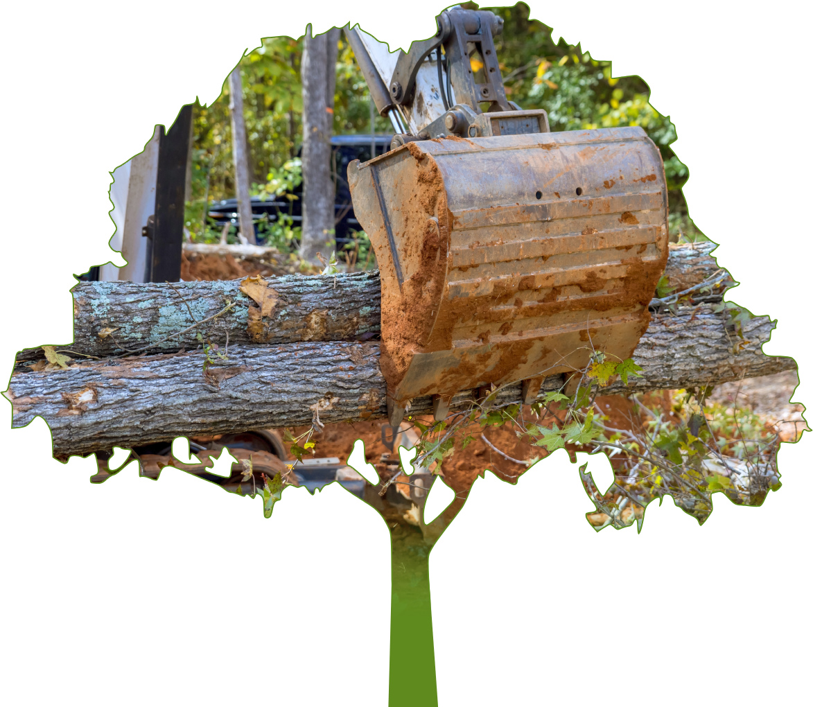 heavy equipment removing trees

